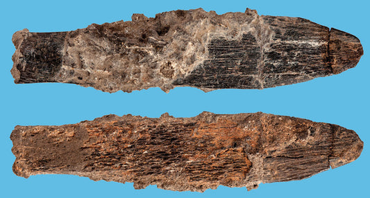 Afrika’nın İlk Uzman Aleti 90.000 Yıllık Bıçak