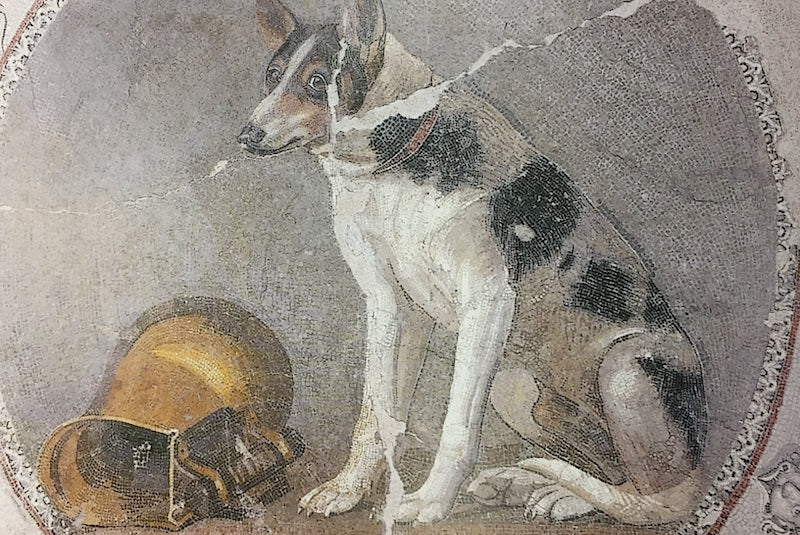 Antik Dönemde Köpeklere Yazılmış 8 Dokunaklı Yazıt