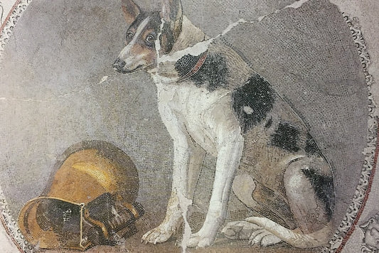 Antik Dönemde Köpeklere Yazılmış 8 Dokunaklı Yazıt