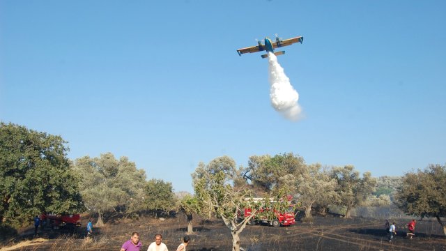 Bodrum'da Arkeolojik Sit Alanında Makilik Yangını