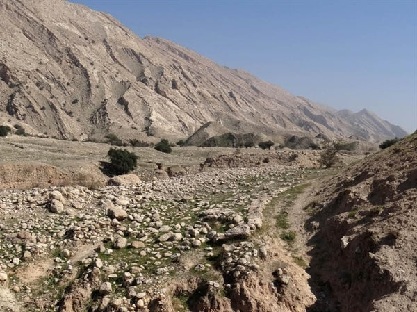 Pers Kral Yolu Üzerinde 162 Tarihi Eser Tespit Edildi