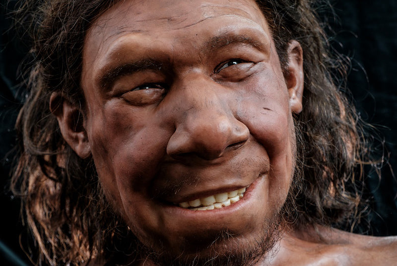 70.000 Yıl Önce Ölen Neandertalin Tümörlü Yüzü Canlandırıldı
