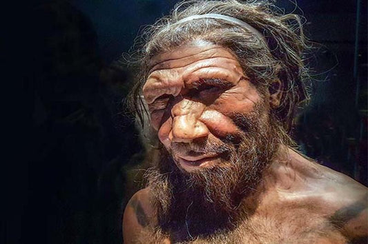 Neandertaller Y Kromozomunu Nasıl Kaybetti?
