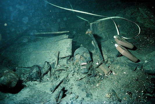 Antik DNA, Viking Çağının Genetik Tarihini Aydınlatıyor