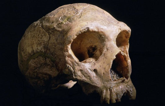 Neden Hala Neandertalleri Küçümsüyoruz?