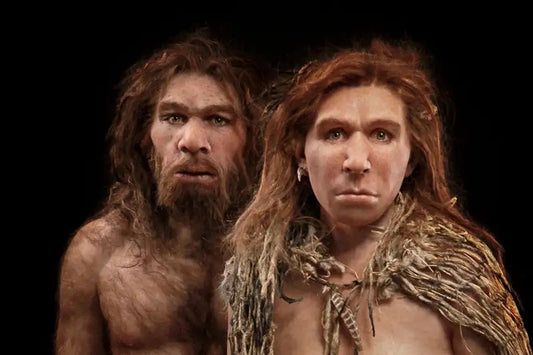 Neandertallerin İnsan Sesini Algılama ve Üretme Kapasitesi Vardı