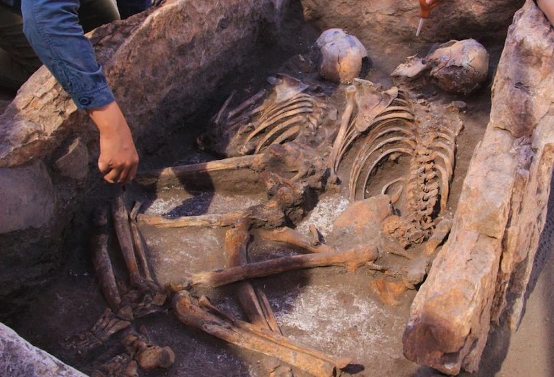 Küllüoba’da Kafasına Darbe Almış 5.000 Yıllık Çocuk Bulundu