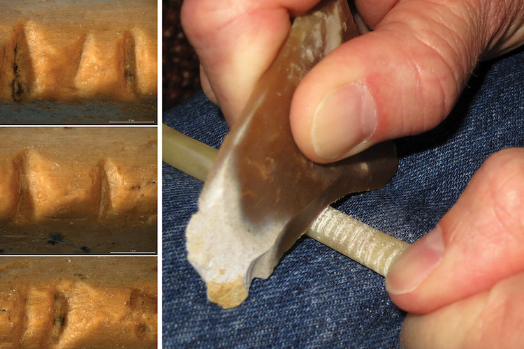 40,000 Yıllık Kuzgun Kemiğinde Neandertal Çentikleri Bulundu