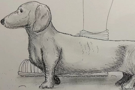İngiltere’de Roma Döneminden Küçük Bir ‘Süs Köpeği’ Bulundu