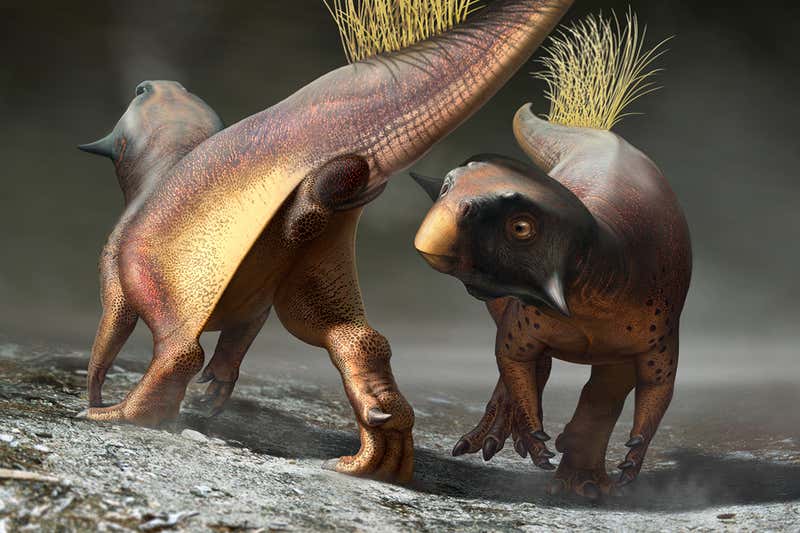 Dinozorlar, Koku ve Görüntü ile Eşlerini Cezbediyordu