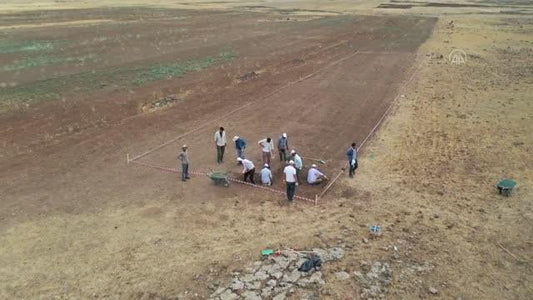 Malazgirt Savaşı alanının tespiti çalışmalarında ok ve mızrak uçları ile savaş aletleri bulundu
