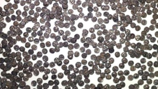 Manavgat’ta Likya ve Roma Dönemine Ait 2 Bin 246 Sikke Ele Geçirildi