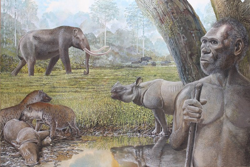 Tropikal Ormanlar, Homininlerin Yok Oluşuna Neden Oldu