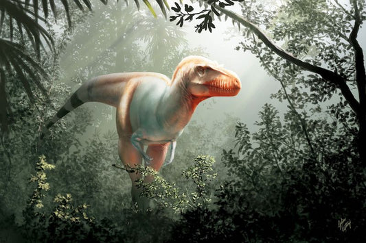 Kanada’da ‘Ölüm Meleği’ Adlı Tyrannosaurus Türü Bulundu