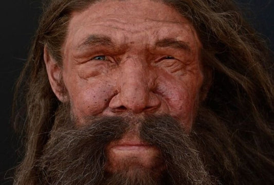 İnsan ile Neandertal Farkı, Ayılar Arasındakinden Daha Az