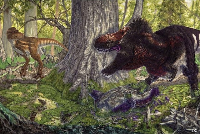 Tyrannosaurus Yavruları, Orta Boy Yırtıcıları Yok Etmiş Olabilir
