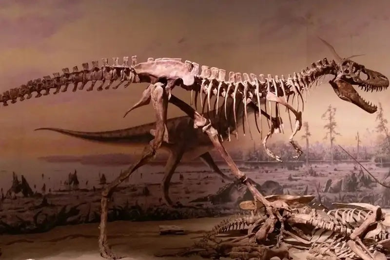 Neden Hiç Orta Büyüklükte Dinozor Yok?