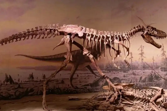 Neden Hiç Orta Büyüklükte Dinozor Yok?