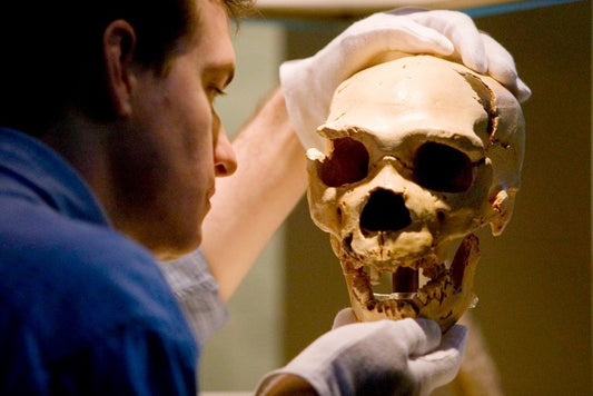 İnsan ve Neandertal Karışımı ‘Mini Beyinler’ Geliştirildi