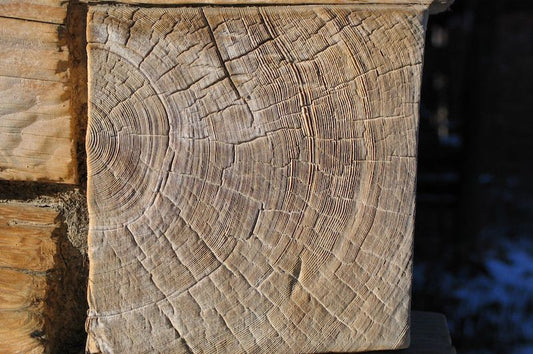 Moğolların Macaristan’dan Çekilmesinin Gizemi Çözüldü