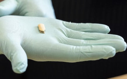 Moleküler Arkeoloji: Eski Genler Bize Ne Anlatıyor?