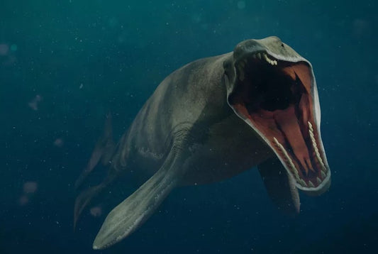 Dinozor Çağının Lider Okyanus Avcısı: Mosasaurus