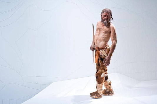 Ötzi’nin Son Yolculuğunun Öyküsü Yosunlarla Anlaşıldı