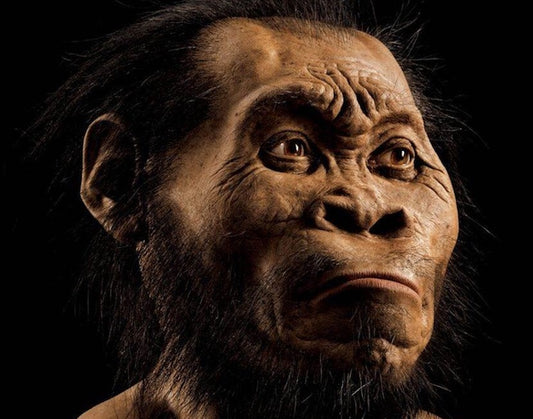 Gizemli İnsan Türü Homo naledi Eşsiz Bir Diyete Sahipti