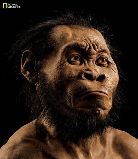 Yeni İnsan Atası Homo naledi Hakkında Bilmeniz Gereken 15 Şey