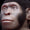 Homo Naledi Muhtemelen Ölülerini Gömmedi veya Çizim Yapmadı
