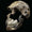 Homo naledi’nin Ölülerini Gömdüğüne Dair Teori Çürüyor