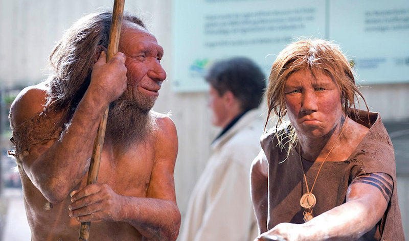 Neandertal Sağlık Uygulamaları Hayatta Kalmak için Kritikti