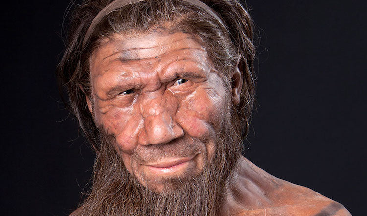Yüzümüz Muhtemelen Bir Neandertalinkine Göre Daha İlkel