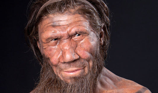 Yüzümüz Muhtemelen Bir Neandertalinkine Göre Daha İlkel