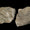 Neandertaller Güzel Buldukları Taşları Topluyordu
