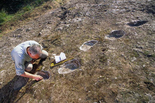 Neandertaller Patladıktan Hemen Sonra Yanardağa Tırmanmış