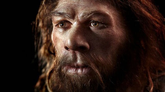 Bulaştırdığımız Hastalıklar Neandertallerin Sonunu Hızlandırdı