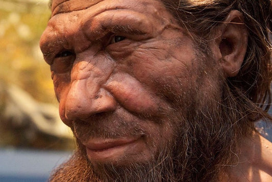 Neandertallerin İlkel Tür Olduğu Algısını Yıkan 6 Sebep