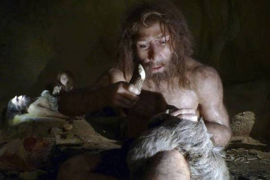 Neandertaller, Bizim Gibi Çoğunlukla Sağlaktı