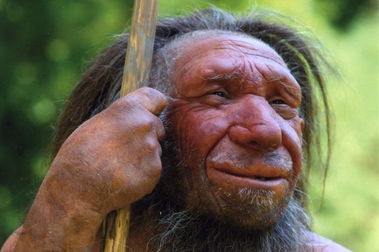 Taşıdığımız Bir Neandertal Geni Bizi Daha Kaslı Yapıyor