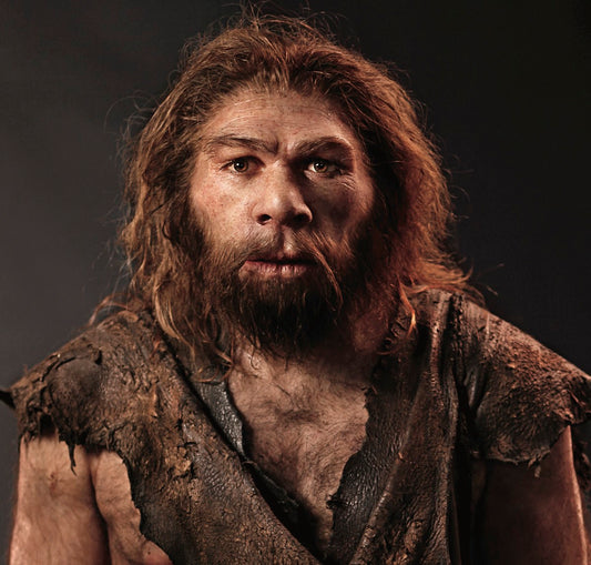 Avrupa’da Bir İlk 400 Bin Yıllık Neandertal Kafatası Bulundu