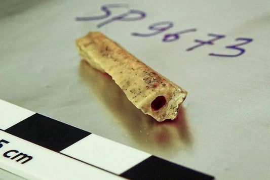 10.000 Yıl Arayla Aynı Mağaraya Gelen Neandertaller Akrabaydı