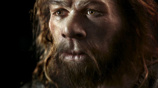 Neandertallerin İnsan Eti Yediği Ortaya Çıktı