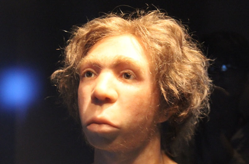 Çoğunlukla Erkek Neandertaller ve Kadın Homo sapiens Çiftleşmiş