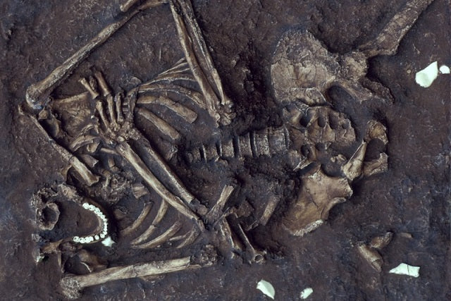İberya’daki Neandertallerin Cenaze Ritüeli Vardı, Ama Biraz Farklı