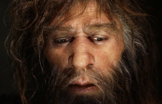 Neandertal Genleri Cilt Rengi, Ruh Hali ve Sigara Alışkanlığını Etkiliyor