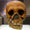 Neandertaller ve Denisovalılar Dil için Genetik Altyapıya Sahipti