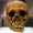 İnsan Melezleri, Neandertallerin Yok Oluşunda Etken Olabilir