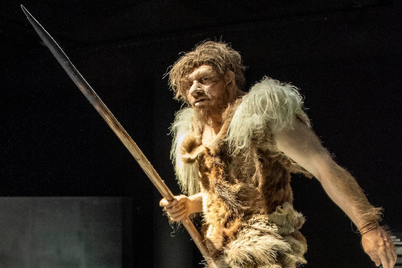 Neandertal Yaşam Alanları İklim Nedeniyle Parçalanmamış