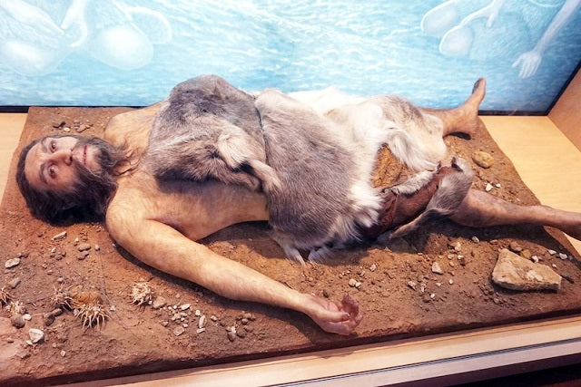Neandertaller ile En Son Çiftleşmemiz Levant’ta Gerçekleşmiş